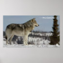Suche nach dokumentarisch poster Tiere