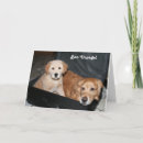 Suche nach koffer karten Hunde