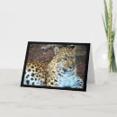 Suche nach großkatze karten Leopard