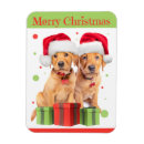 Suche nach labrador welpe magnete Jede person