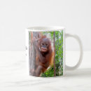 Suche nach lebende tassen Orang utan