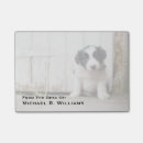 Suche nach border collie post it Haustier