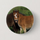 Suche nach miniatur buttons Reiter