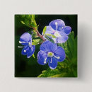 Suche nach blaue blumen buttons Jede person