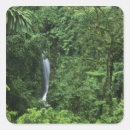 Suche nach costa aufkleber Regenwald