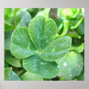 Suche nach vierblättriges kleeblatt poster Irisch