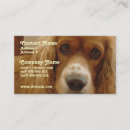 Suche nach spaniels visitenkarten Hunde