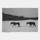 Suche nach weißes pferd geschirr tücher Schnee