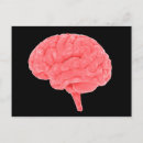Suche nach menschliches gehirn postkarten Intelligenz