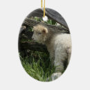 Suche nach passahfest ornamente Für alle