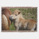 Suche nach stute und fohlen decken Mutter und kind