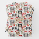 Suche nach berner geschenkpapier Muster