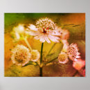 Suche nach abstract flowers poster Floral