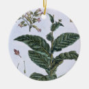 Suche nach sammlung ornamente 1731 1807
