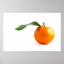 Suche nach klementine Orange