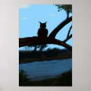 Suche nach eulen poster Natur