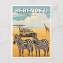 Suche nach zebras postkarten Tansania