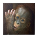 Suche nach orang utans fliesen Tier