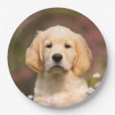 Suche nach hundeliebhaber teller Für sie