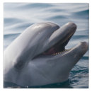 Suche nach delfin fliesen Für alle