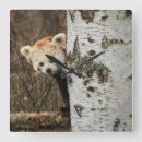 Suche nach versteckt wanduhren Wild