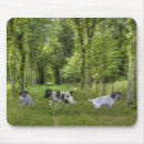 Suche nach vogelhund mousepads Zeiger