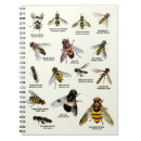 Suche nach wanze kleine notizbücher Insekt