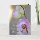 Suche nach rosa orchideen karten Fotografie