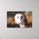 Suche nach raubvögel leinwandbilder Horizontal
