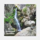 Suche nach malibu magnete Usa