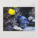 Suche nach tapir postkarten Niedlich