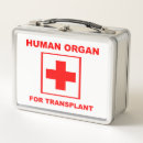 Suche nach menschliche organe Jede person