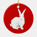 Suche nach chinesische tiere ornamente Illustration