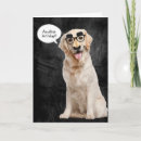 Suche nach lustige golden retriever karten Für alle