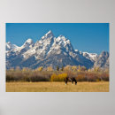 Suche nach moos poster Landschaft