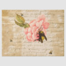 Suche nach eintagsfliege Mit blumen