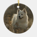 Suche nach samoyed ornamente Welpe