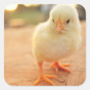 Suche nach tierthemen aufkleber Ein tier
