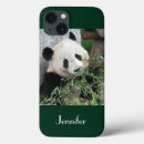 Suche nach pandaliebhaber Pandabär