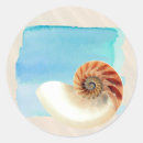 Suche nach nautilus muschel aufkleber Meer