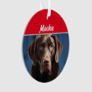 Suche nach schokolade ornamente Hunde