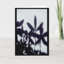 Suche nach licht und schatten karten Fotografie