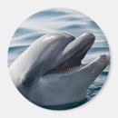 Suche nach dolphin magnete Meerestier