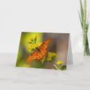 Suche nach goldrute karten Schmetterling