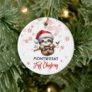 Suche nach sloth ornamente Aquarell