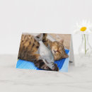 Suche nach fishermans karten Lustig