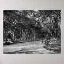 Suche nach malle poster Park