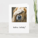 Suche nach golden retriever geburtstag karten Jede person
