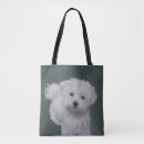 Suche nach maltipoo hund accessoires Für alle