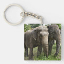 Suche nach asiatischer elefant schlüsselanhänger Elefanten